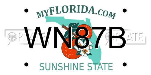 WN87B Florida License Plate