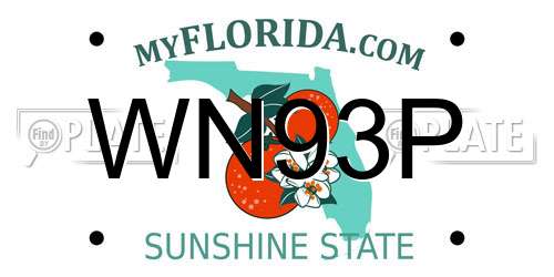 WN93P Florida License Plate