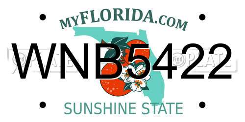 WNB5422 Florida License Plate