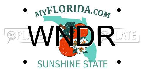 WNDR Florida License Plate