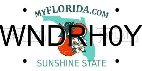 WNDRH0Y Florida License Plate
