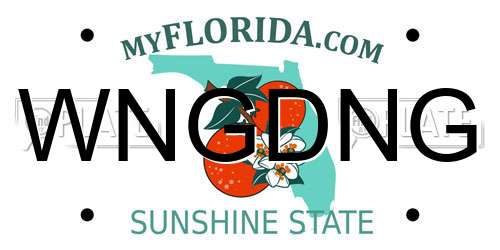 WNGDNG Florida License Plate