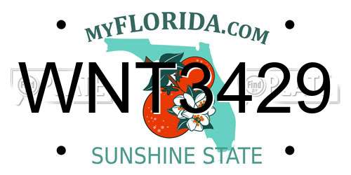 WNT3429 Florida License Plate