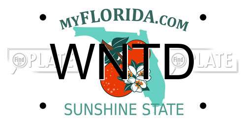 WNTD Florida License Plate