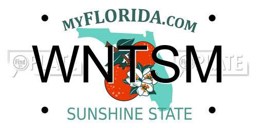 WNTSM Florida License Plate