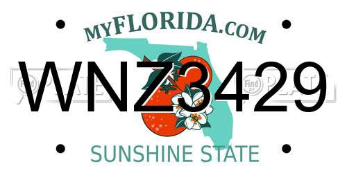 WNZ3429 Florida License Plate