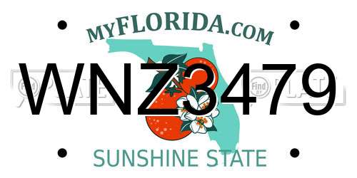 WNZ3479 Florida License Plate