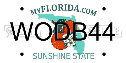WODB44 Florida License Plate