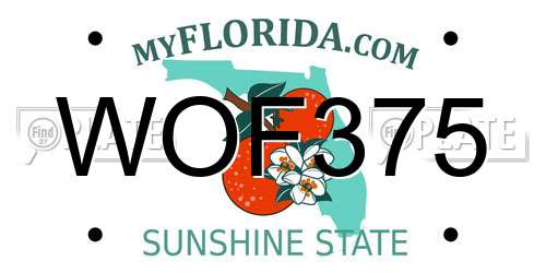 WOF375 Florida License Plate
