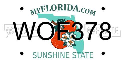 WOF378 Florida License Plate