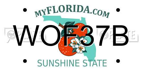WOF37B Florida License Plate