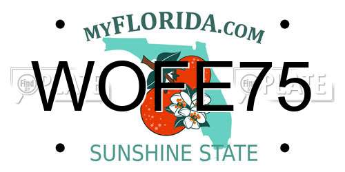 WOFE75 Florida License Plate
