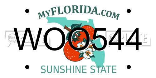 WOO544 Florida License Plate