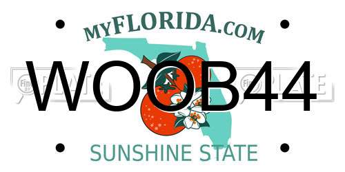 WOOB44 Florida License Plate