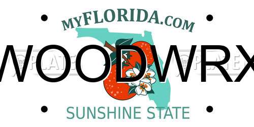 WOODWRX Florida License Plate