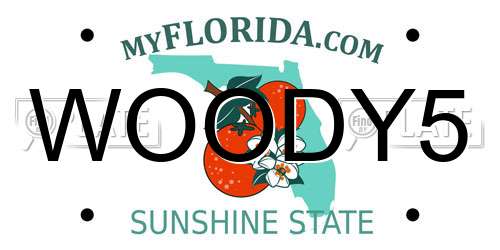 WOODY5 Florida License Plate