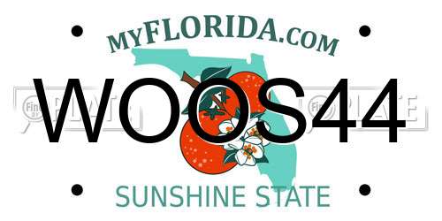 WOOS44 Florida License Plate