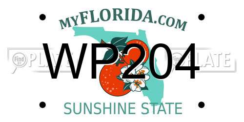WP204 Florida License Plate