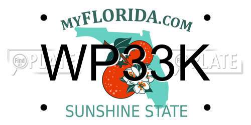 WP33K Florida License Plate