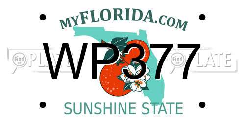 WP377 Florida License Plate
