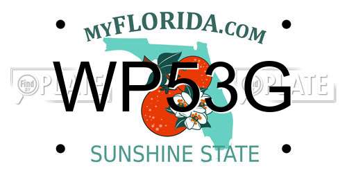 WP53G Florida License Plate
