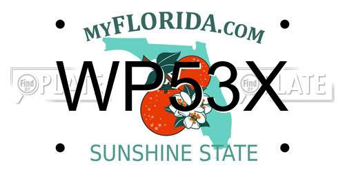 WP53X Florida License Plate