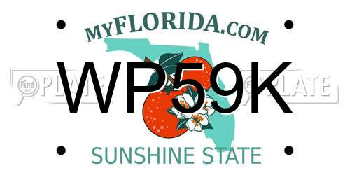 WP59K Florida License Plate