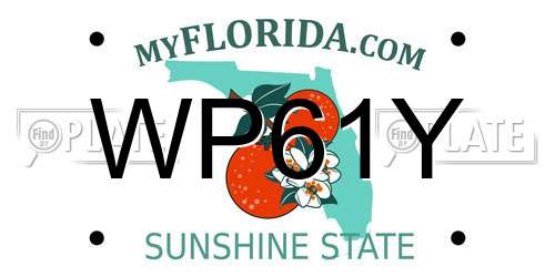 WP61Y Florida License Plate