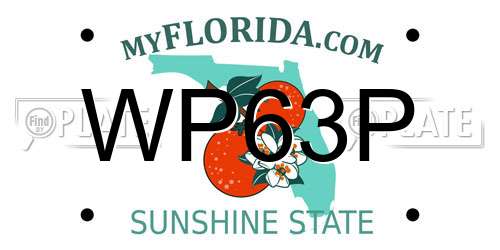 WP63P Florida License Plate
