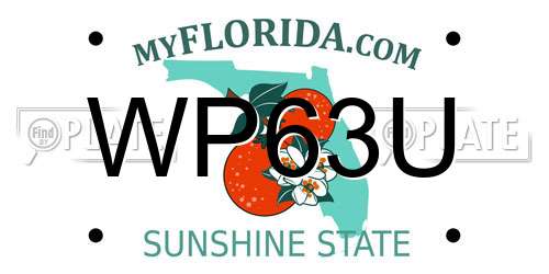 WP63U Florida License Plate