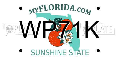 WP71K Florida License Plate