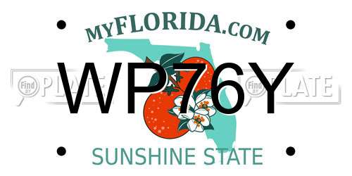 WP76Y Florida License Plate