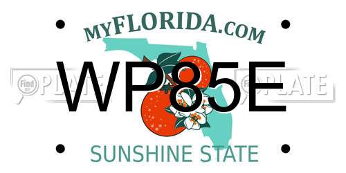 WP85E Florida License Plate