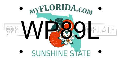 WP89L Florida License Plate