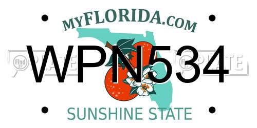 WPN534 Florida License Plate