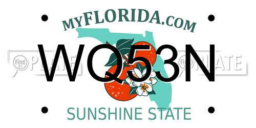 WQ53N Florida License Plate