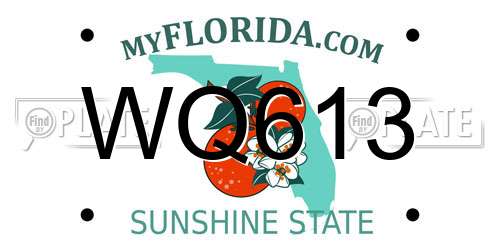 WQ613 Florida License Plate