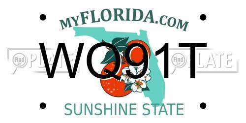 WQ91T Florida License Plate