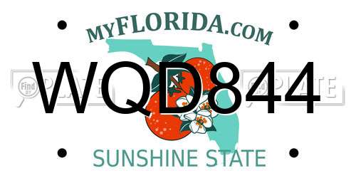 WQD844 Florida License Plate