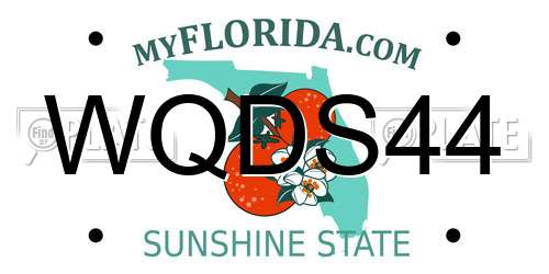 WQDS44 Florida License Plate