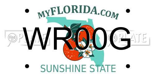 WR00G Florida License Plate