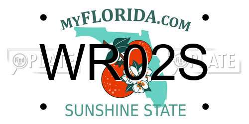 WR02S Florida License Plate