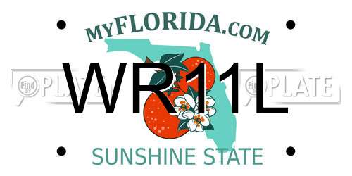 WR11L Florida License Plate