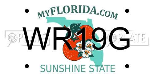 WR19G Florida License Plate