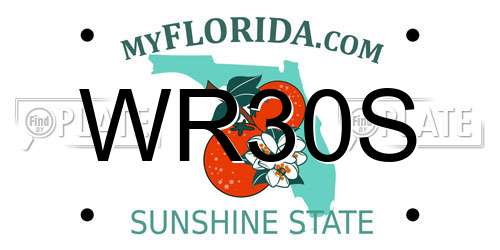WR30S Florida License Plate