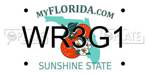 WR3G1 Florida License Plate