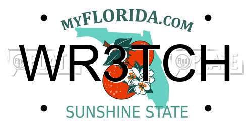 WR3TCH Florida License Plate