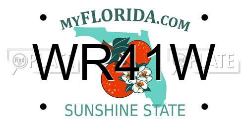 WR41W Florida License Plate