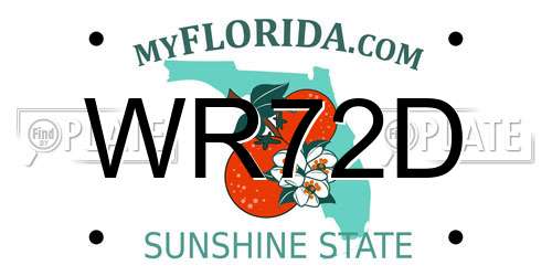 WR72D Florida License Plate