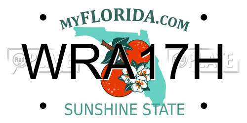 WRA17H Florida License Plate